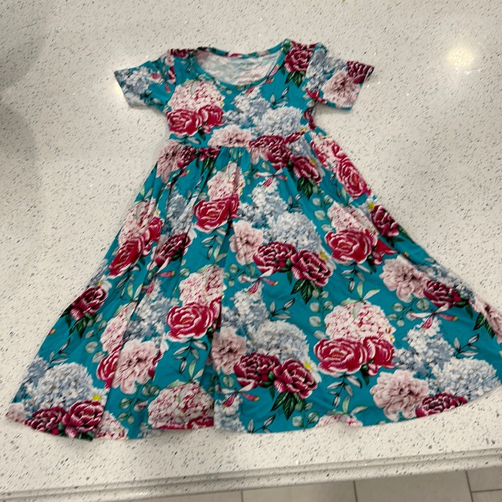Posh Peanut Teal Floral Casual Dress with Pink & Red Roses Size 7
